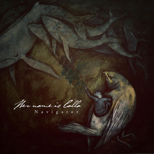 Navigator cover
