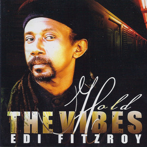 Hold The Vibes album