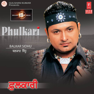 Phulkari cover