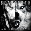 Aggressive (Album Commentary) cover