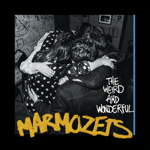 The Weird And Wonderful Marmozets cover