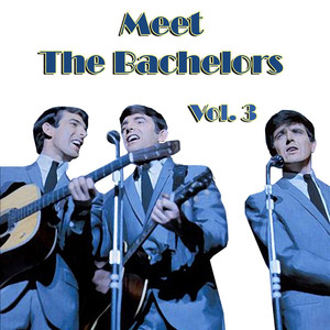 Meet the Bachelors, Vol. 3 album