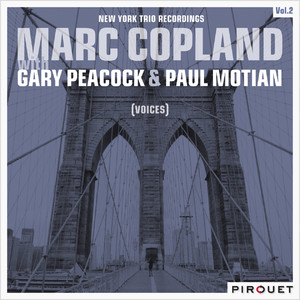 Voices - New York Trio Recordings, Vol. 2 cover