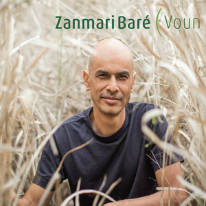 Voun cover