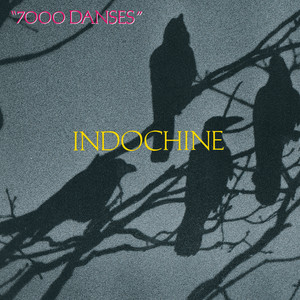 7000 danses cover