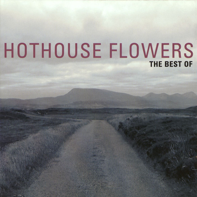 The Best Of Hothouse Flowers cover