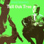 Tall Oak Tree cover
