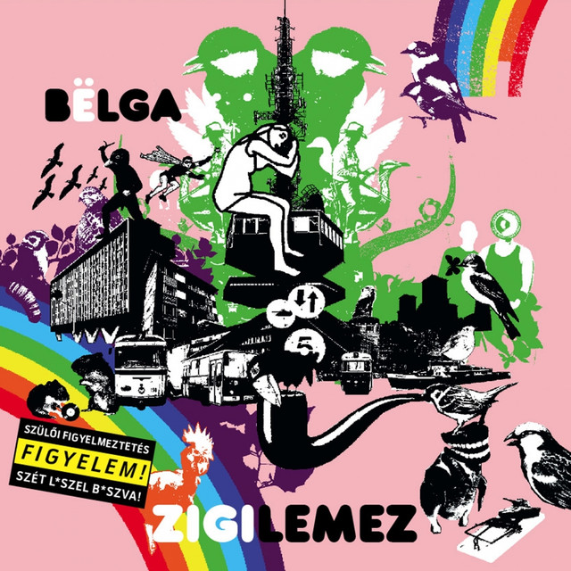 Zigilemez cover