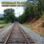 Green Light on the Southern cover
