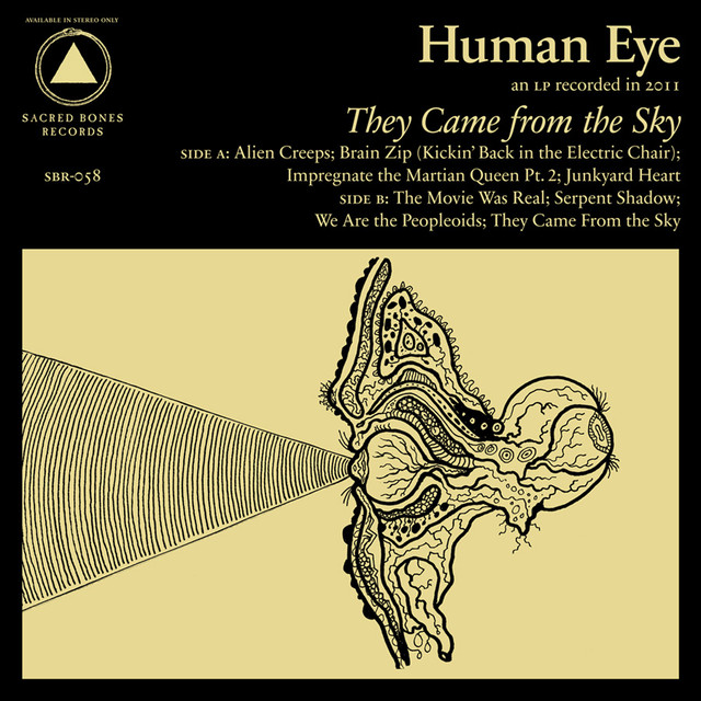 They Came From The Sky cover
