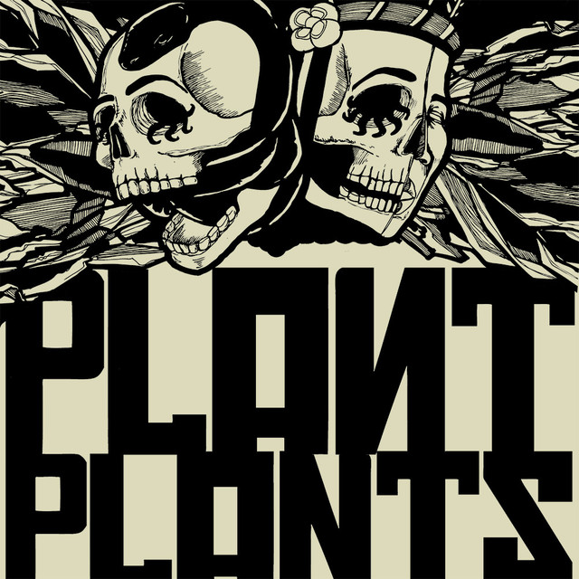 Plant Plants Photo