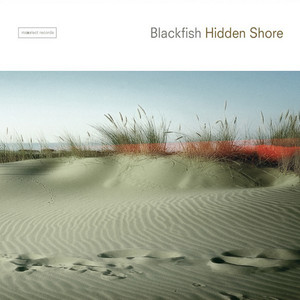 Hidden Shore cover