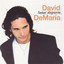 Soñar despierto cover