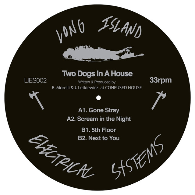 Two Dogs in a House Photo