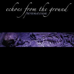 Echoes From the Ground cover