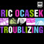 Troublizing cover