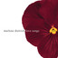 Love Songs cover