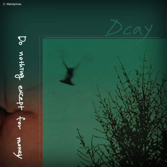 D-Cay Photo