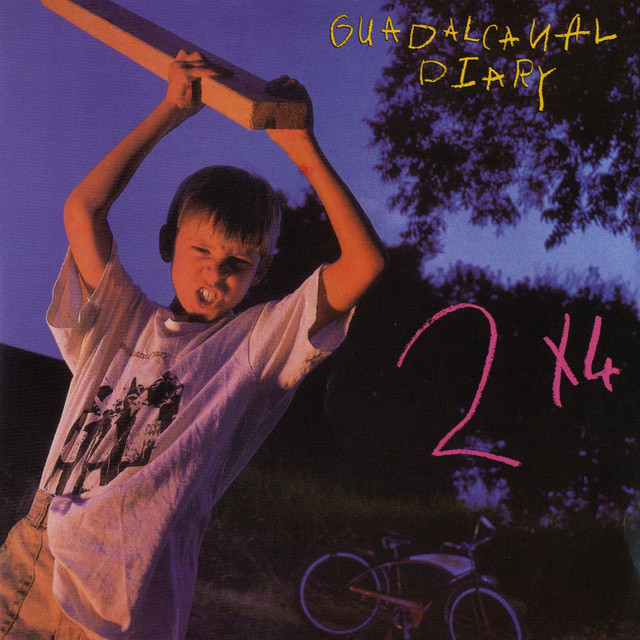 2x4 cover