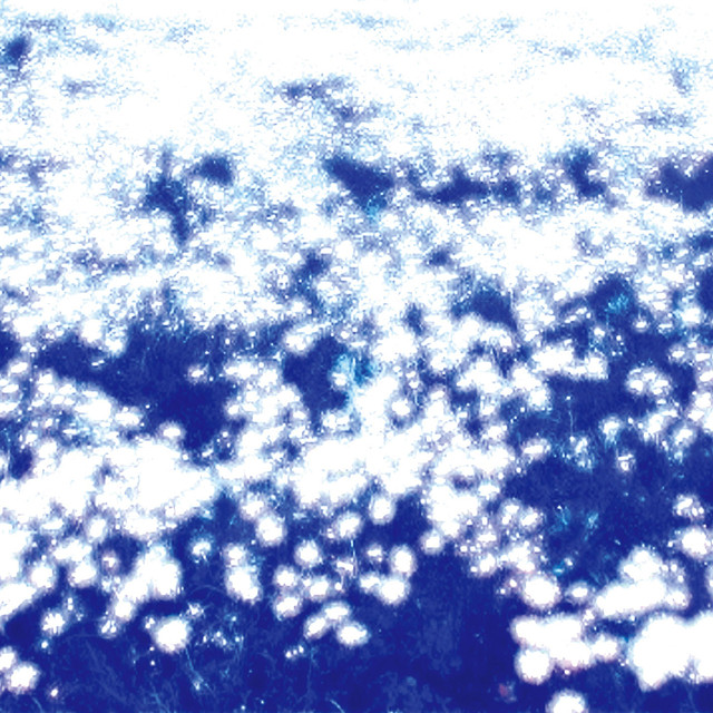 Ovum Photo