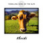 Yodelling Song of the Alps Albumcover