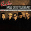Hang Onto To Your Heart cover