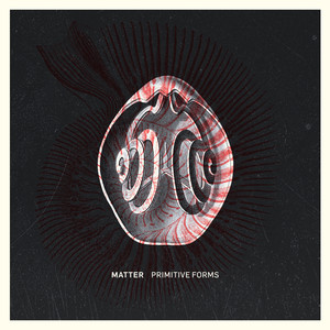 Primitive Forms cover