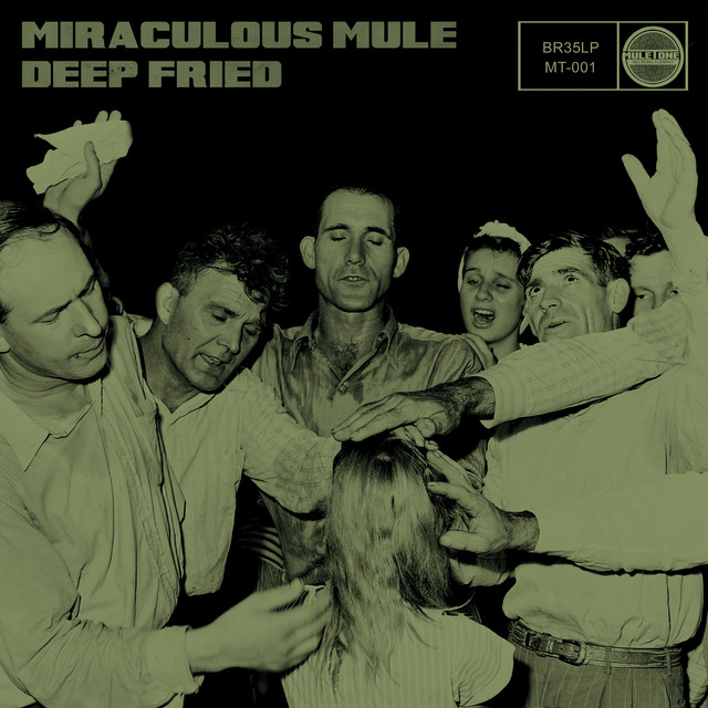 Miraculous Mule Photo