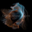 Scene Delete cover