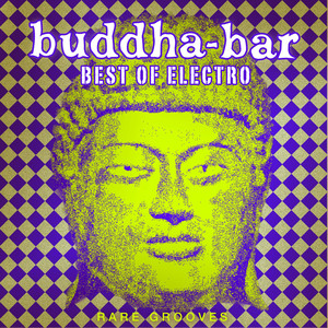 Buddha Bar Best of Electro : Rare Grooves album