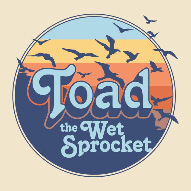 Toad the Wet Sprocket photo