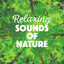 Relaxing Sounds of Nature cover