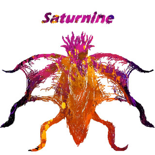 Saturnine Photo