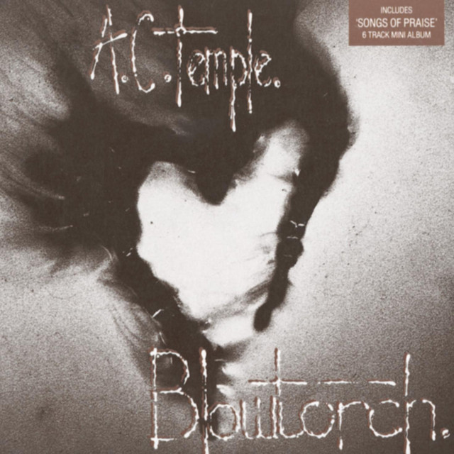 Blowtorch cover