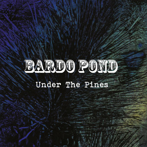 Under the Pines album