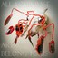 All Your Base Are Belong To Us Albumcover
