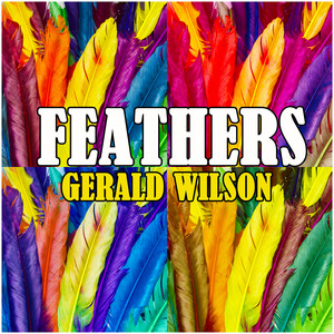Feathers album