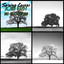 Spring Lovers cover