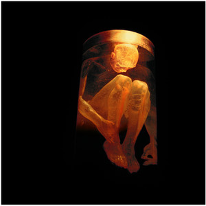 Nothing Safe: The Best of the Box album