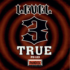 Level 3