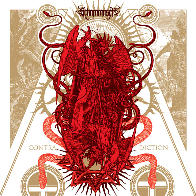 Contradiction cover