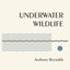 Underwater Wildlife Albumcover