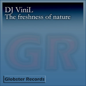 dj vinil