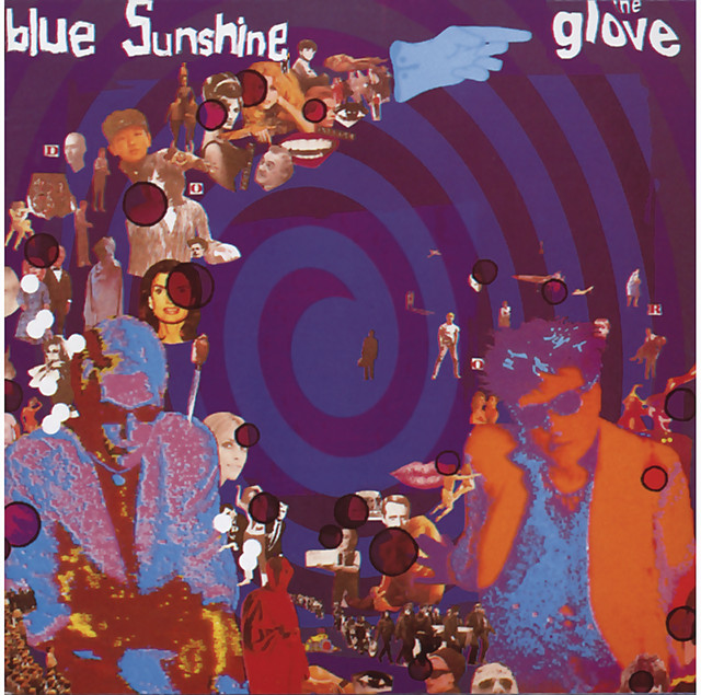The Glove Photo