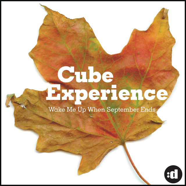 Cube Experience Photo