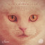 Suara Remixes cover
