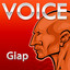 Voice Albumcover