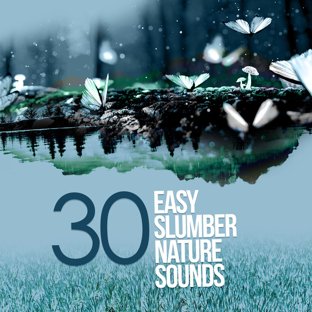 30 Easy Slumber Nature Sounds