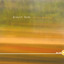 In The Meantime Albumcover