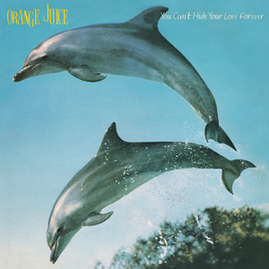 You Can't Hide Your Love Forever album